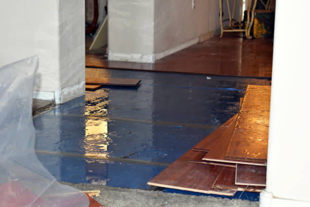 Professional Water Damage Repair technician working in Purmela, TX